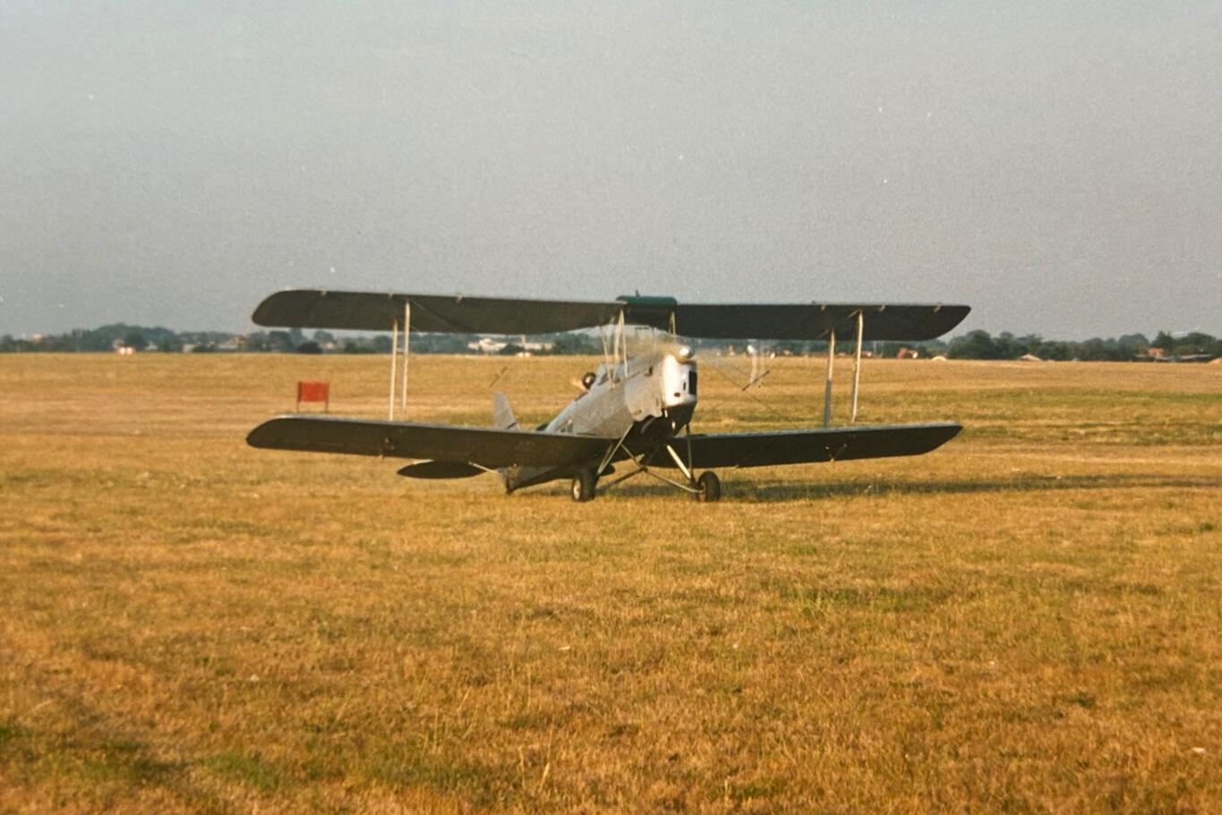 The Magpie